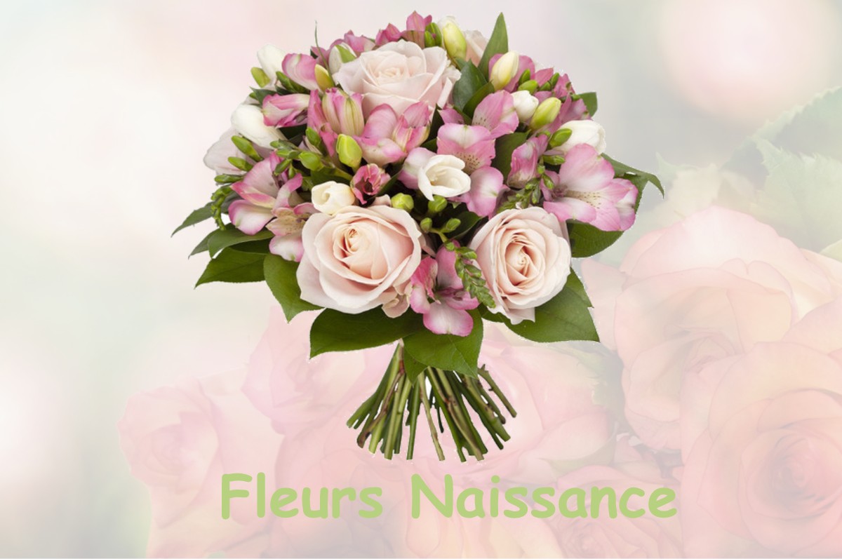 fleurs naissance LENTILLAC-SAINT-BLAISE
